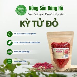 ky-tu-do