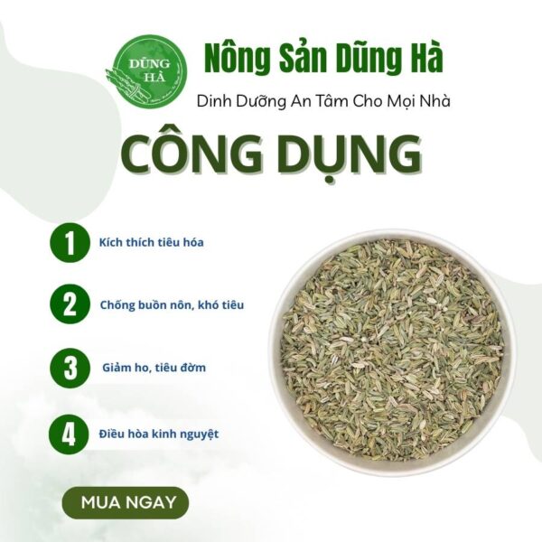 tiểu hồi