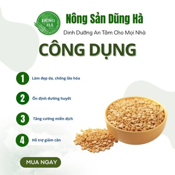 Đỗ xanh tách đôi