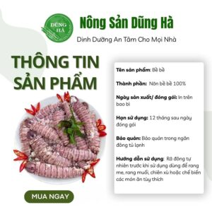 Nõn Bề Bề