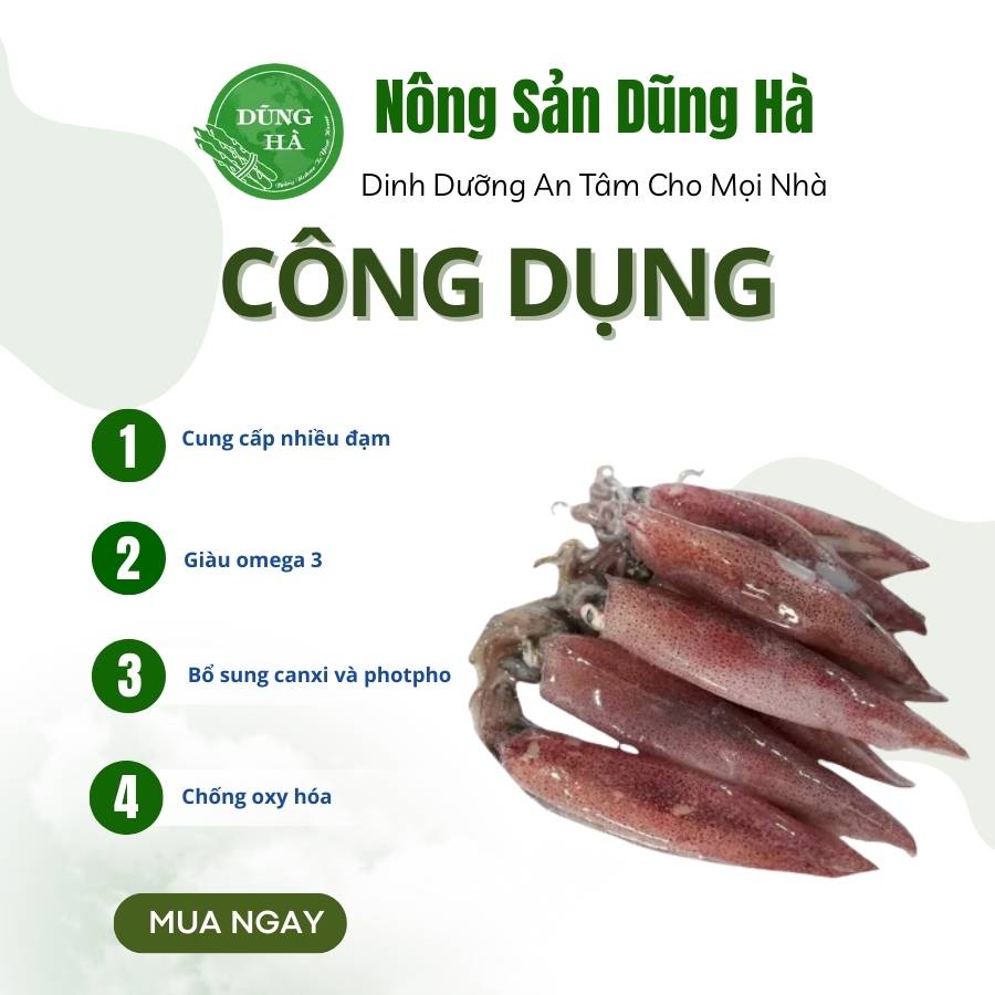 Mực trứng