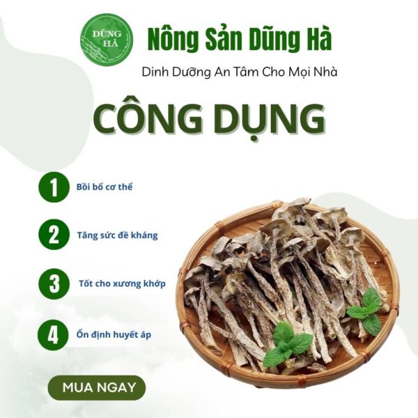 Nấm lộc nhung