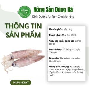 Mực ống nguyên con