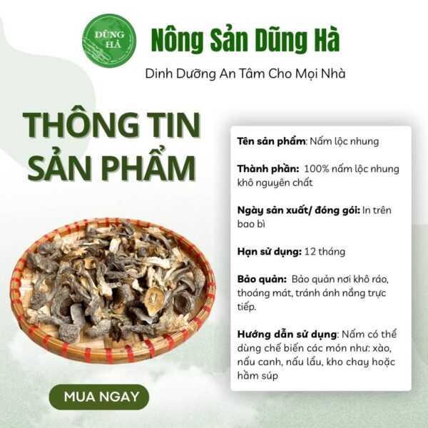 Nấm lộc nhung