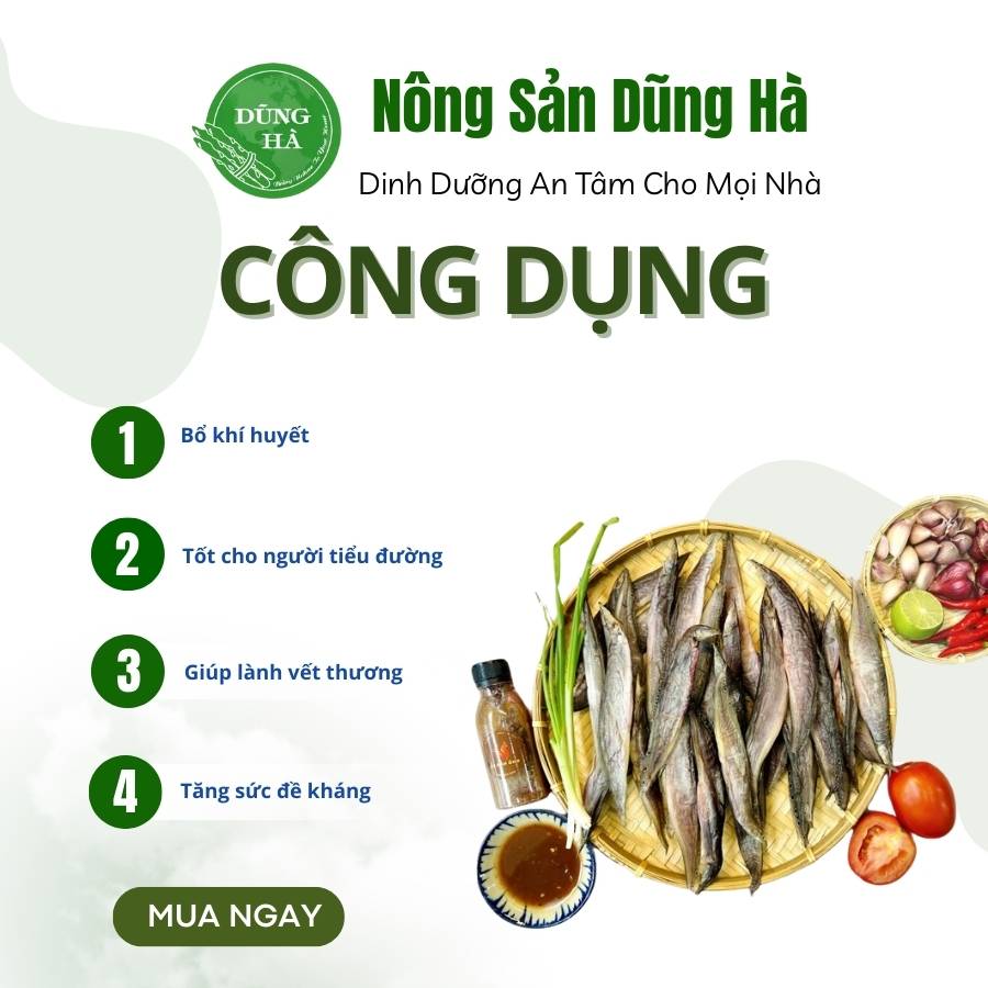 Khô cá chạch