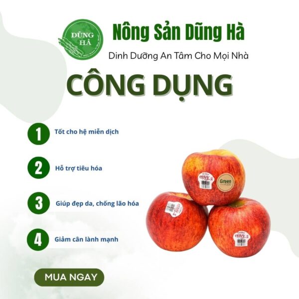 Táo đỏ envy