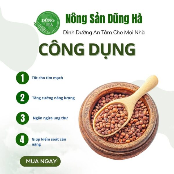 dau-lang-nau