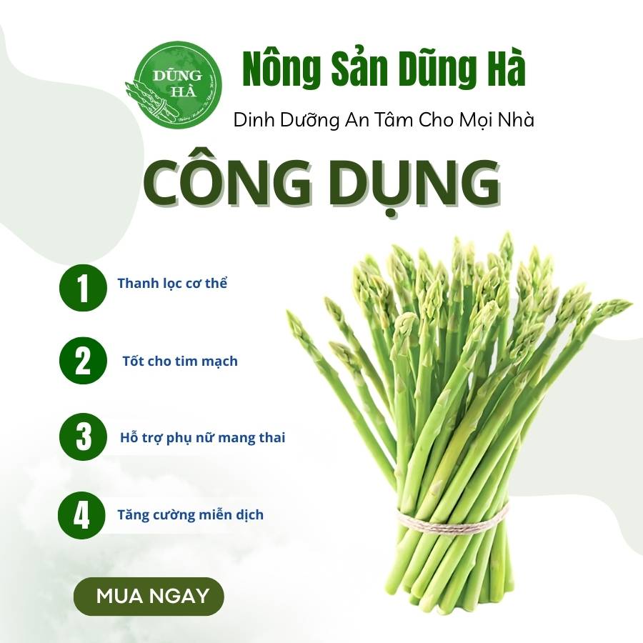 Măng tây