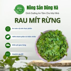 Rau mít rừng