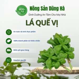 Lá Quế Vị