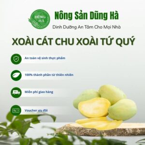 Xoài cát chu/xoài tứ quý