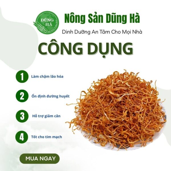 Đông trùng hạ thảo