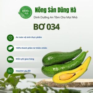 Bơ 034
