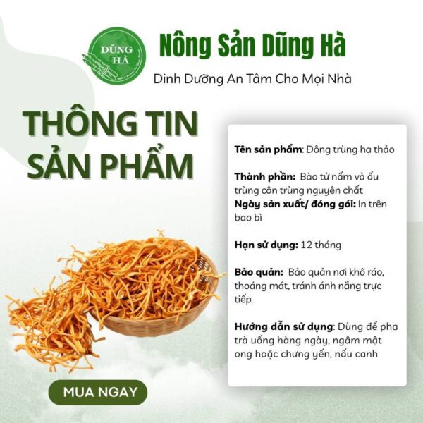 Đông trùng hạ thảo
