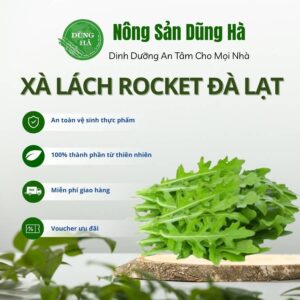 Xà lách rocket đà lạt