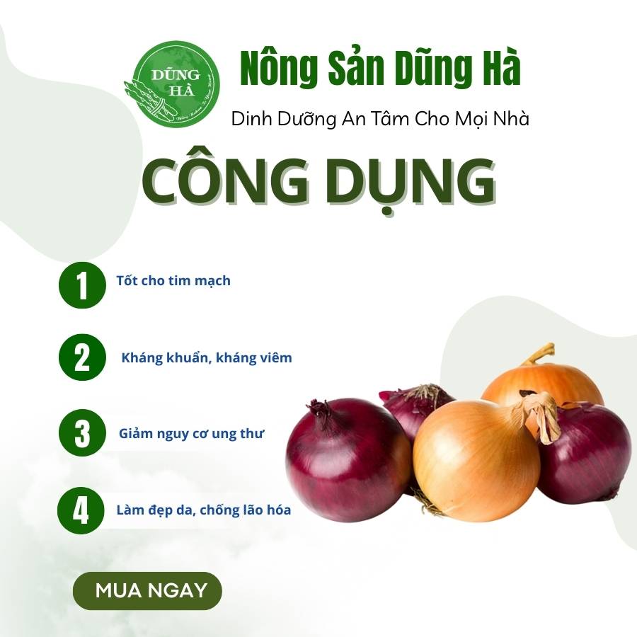 Hành Tây