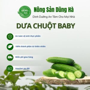 Dưa chuột baby
