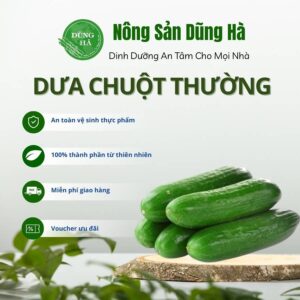 Dưa chuột
