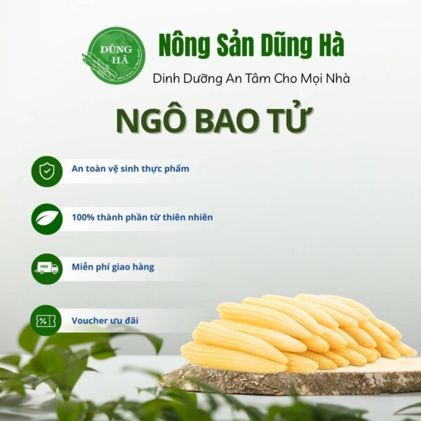 Ngô