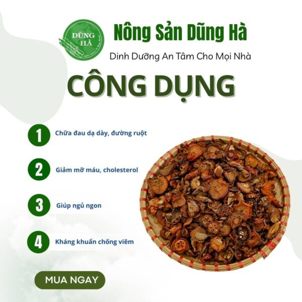 Táo mèo khô