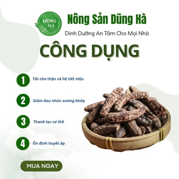 Chuối hột rừng