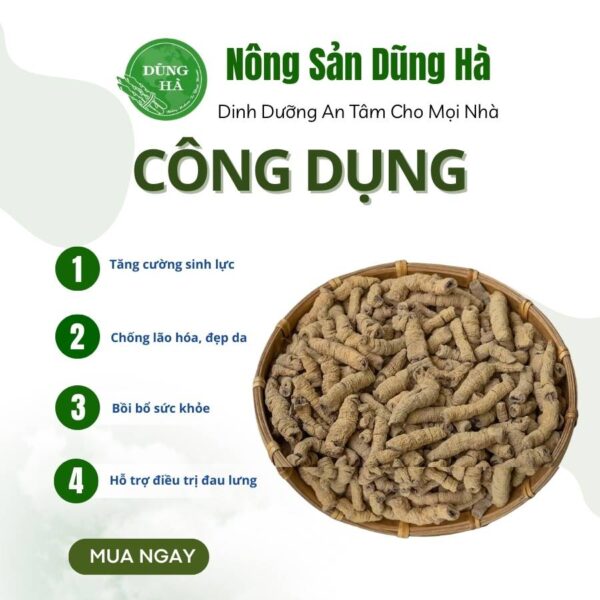 Ba kích khô