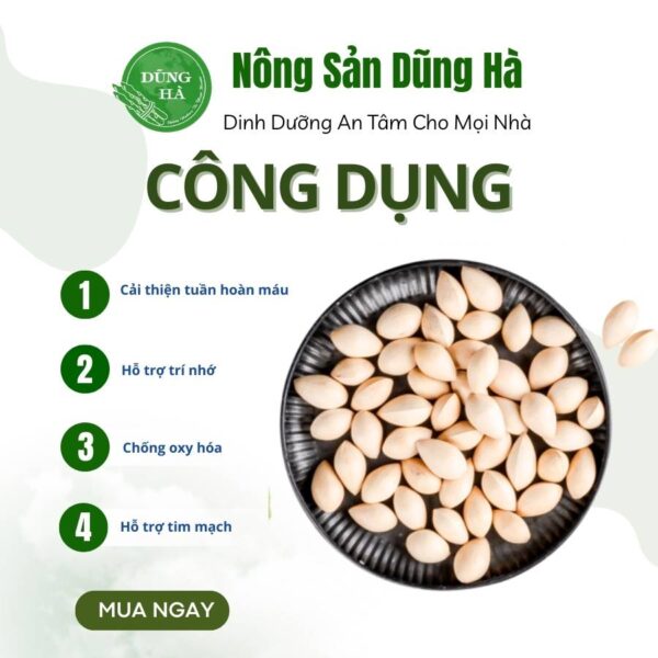 Bạch quả