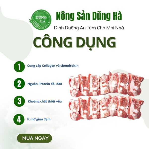 Sụn non heo nga