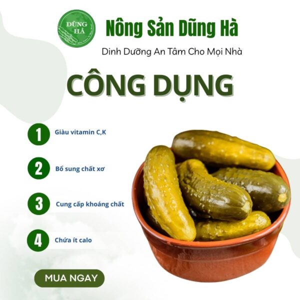 Dưa chuột bao tử tâm đức