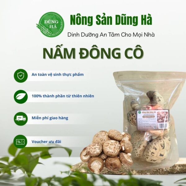 Nấm đông cô