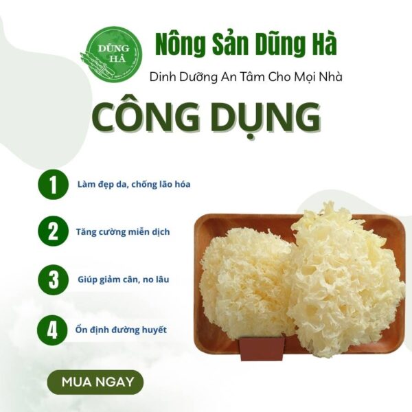 nam-tuyet-kho