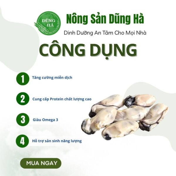 Ruột hàu sữa