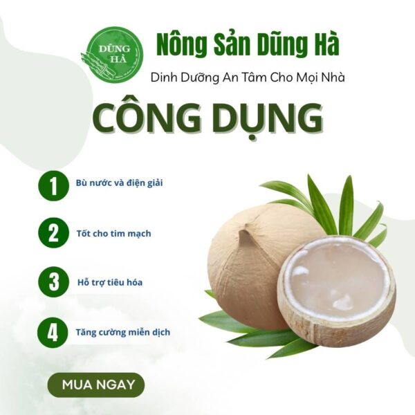 Dừa xiêm