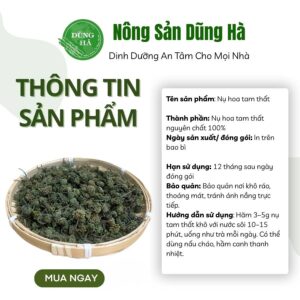 nụ hoa tam thất