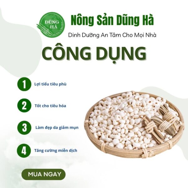 ý dĩ