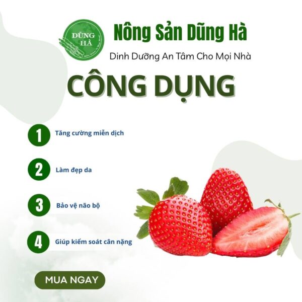 Dâu tây đà lạt