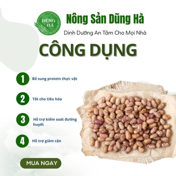 đậu cúc