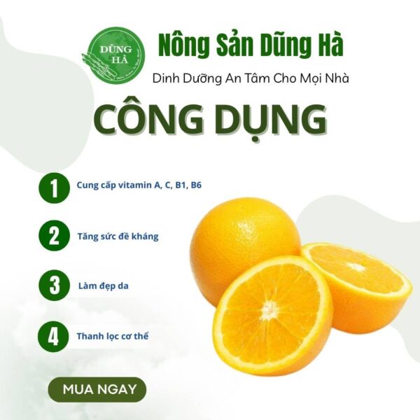 Cam vàng úc