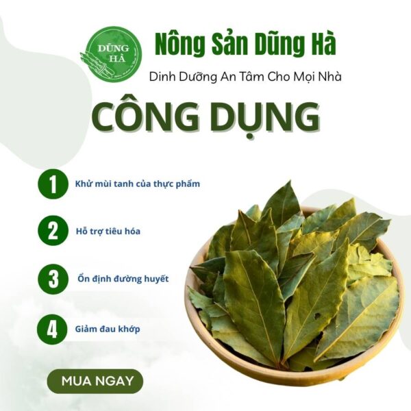 lá nguyệt quế khô