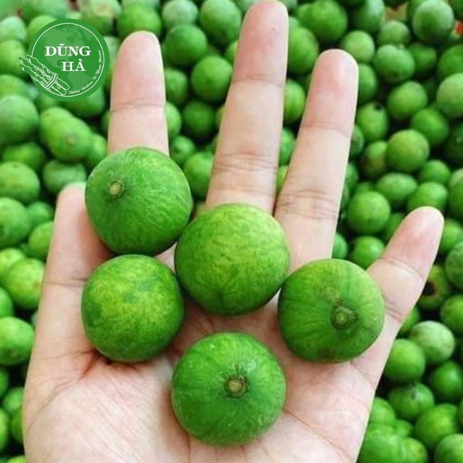 Sấu viba