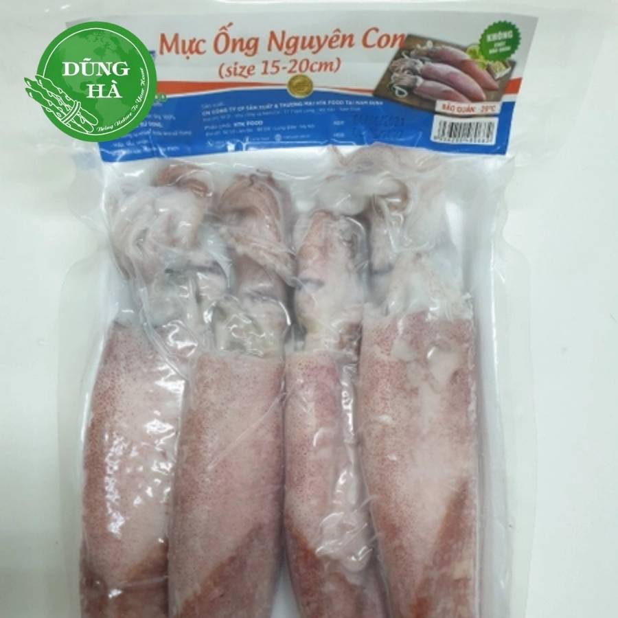 Mực ống nguyên con