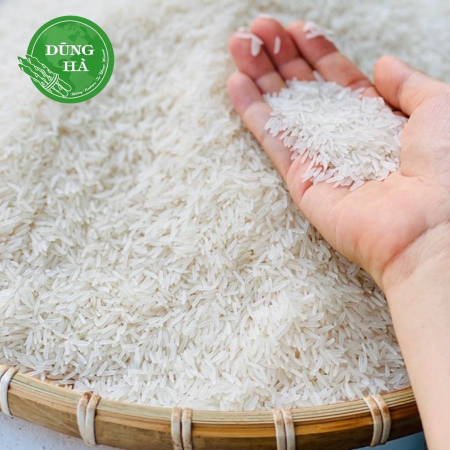 Gạo ST25 ngon