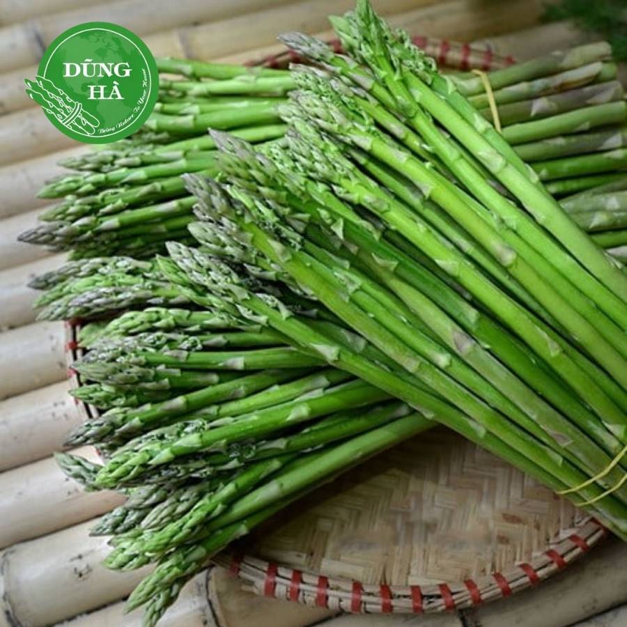 Măng tây