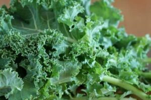 Tác dụng của cải Kale? Lưu ý khi sử dụng Kale cho gia đình