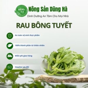 Rau bông tuyết