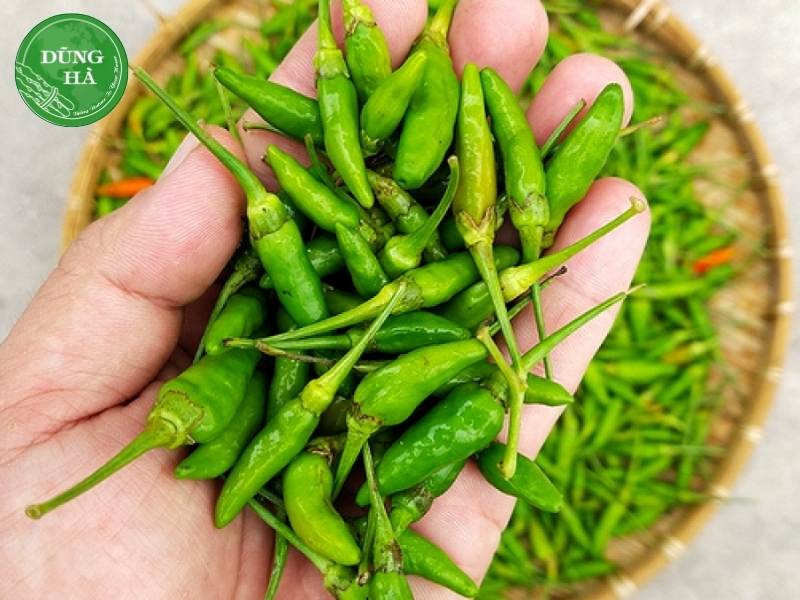 cach-trong-ot-xiem-xanh