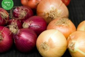 Bà bầu ăn được hành tây không? Giải đáp chi tiết cho mẹ bầu