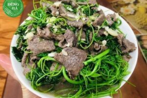 Tác dụng của rau bò khai – Loại rau rừng bổ dưỡng, tốt cho sức khỏe