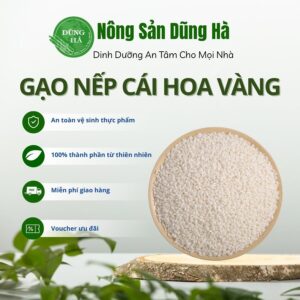 Gạo nếp cái hoa vàng