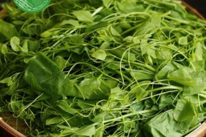 Rau bò khai – Món quà từ núi rừng, hương vị dân dã và công dụng tuyệt vời